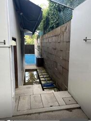 Shamrock Park (D10), Detached #477262891